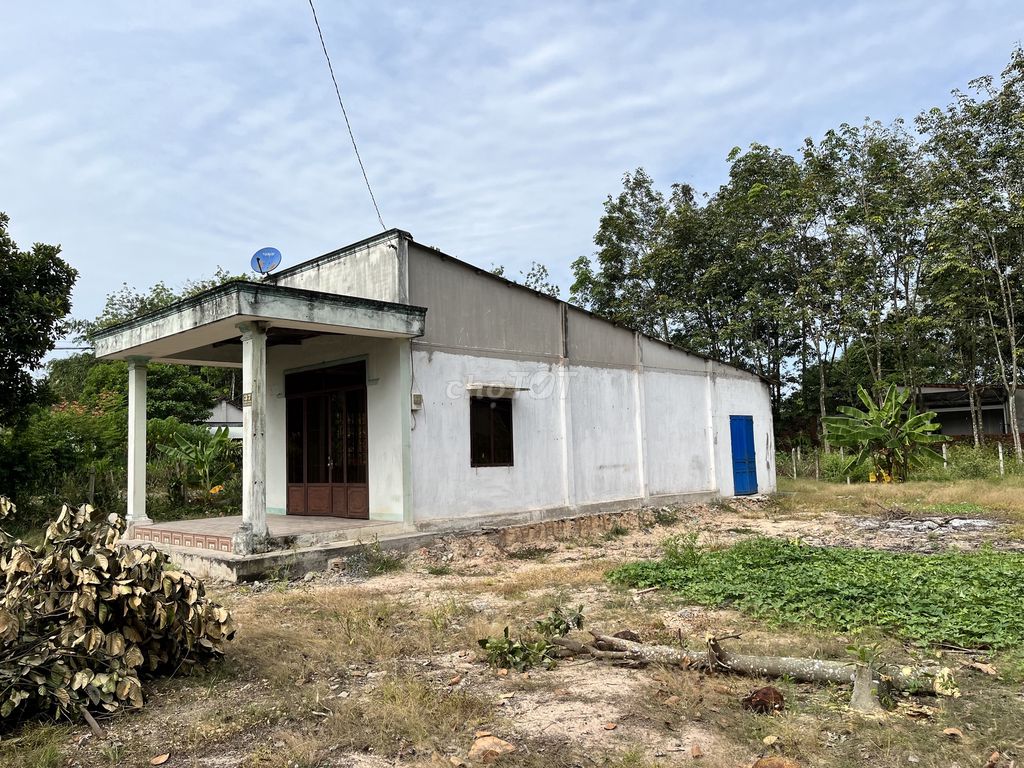 Đất ở 2 mặt tiền đường nhựa tại Xã An Phú, Huyện Củ Ch, TP. HCM