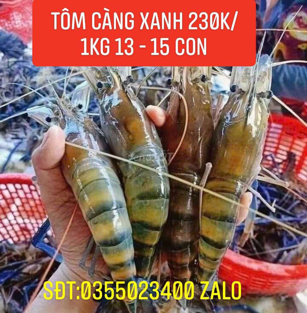 Tôm càng xanh*cua u minh thịt