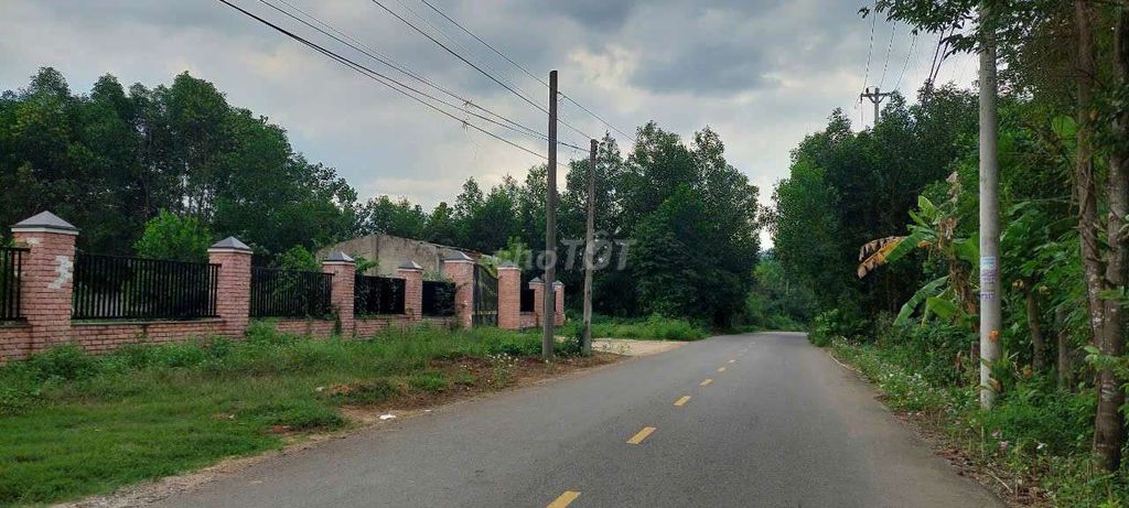 Đất xây nhà vườn, làm kho bãi, 5400m2 có 400m2 đất ở đường nhựa 2 oto Đường Nhựa 2 Oto, Xã Hòa Phú, Huyện Hòa Vang, Đà Nẵng Huyện Hòa Vang Đà Nẵng