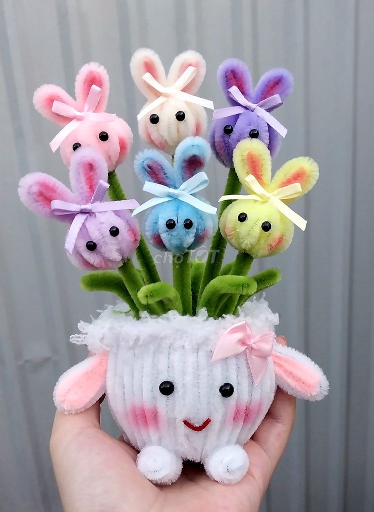 Chậu hoa trang trí Kẽm nhung. Mua bán Cây cảnh, đồ trang trí tại Thành phố Thuận An Bình Dương được đăng bởi Thao Nguyen hình 1