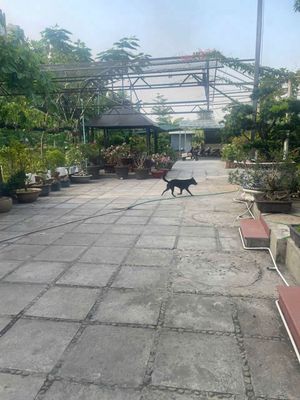 BÁN ĐẤT ĐƯỜNG NGUYỄN HỮU THỌ Q7