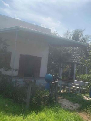 Cần bán gấp 10000m2(1mẫu) 1 căn nhà ,1 bình điện 900trụ tlong 1tỉ