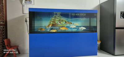 Bể cá công nghệ mới. Mua bán Phụ kiện, Thức ăn, Dịch vụ tại Huyện Yên Phong Bắc Ninh được đăng bởi Nguyễn Văn Nam