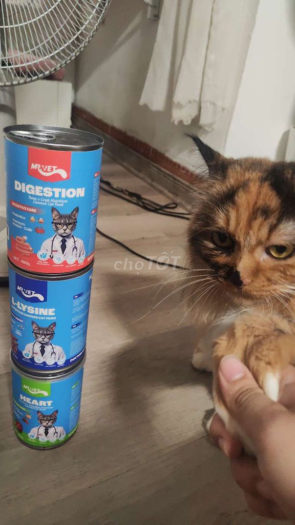 Pate Mèo Mr.Vet 400g . Mua bán Phụ kiện, Thức ăn, Dịch vụ tại Quận Đống Đa Hà Nội được đăng bởi Tiên Tiên hình 1