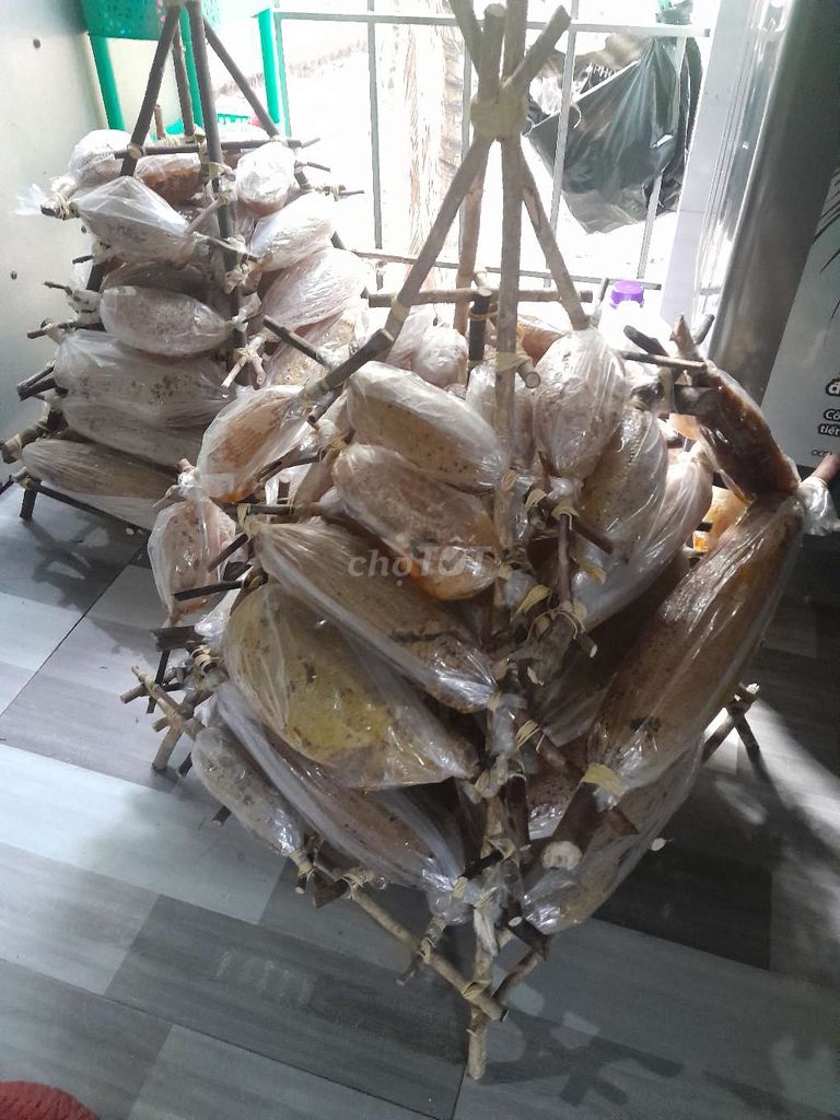 Mật ong rừng Thiên nhiên. Mua bán Đồ ăn, thực phẩm và các loại khác tại Thị xã Tân Uyên Bình Dương được đăng bởi nhất việt hình 1
