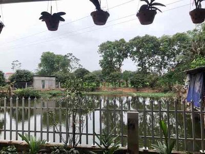 Cần cho thuê mô hình trang trại tại xã Tân Dĩnh. Cho thuê nhà ở tại Huyện Lạng Giang Bắc Giang được đăng bởi Anh Hoàn
