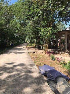 ( Chuẩn ) Đất diện tích lớn - giá siêu rẻ , hình thật- đất thựctế ảnh. Mua bán đất tại Huyện Dầu Tiếng Bình Dương được đăng bởi Mẫn Nhi