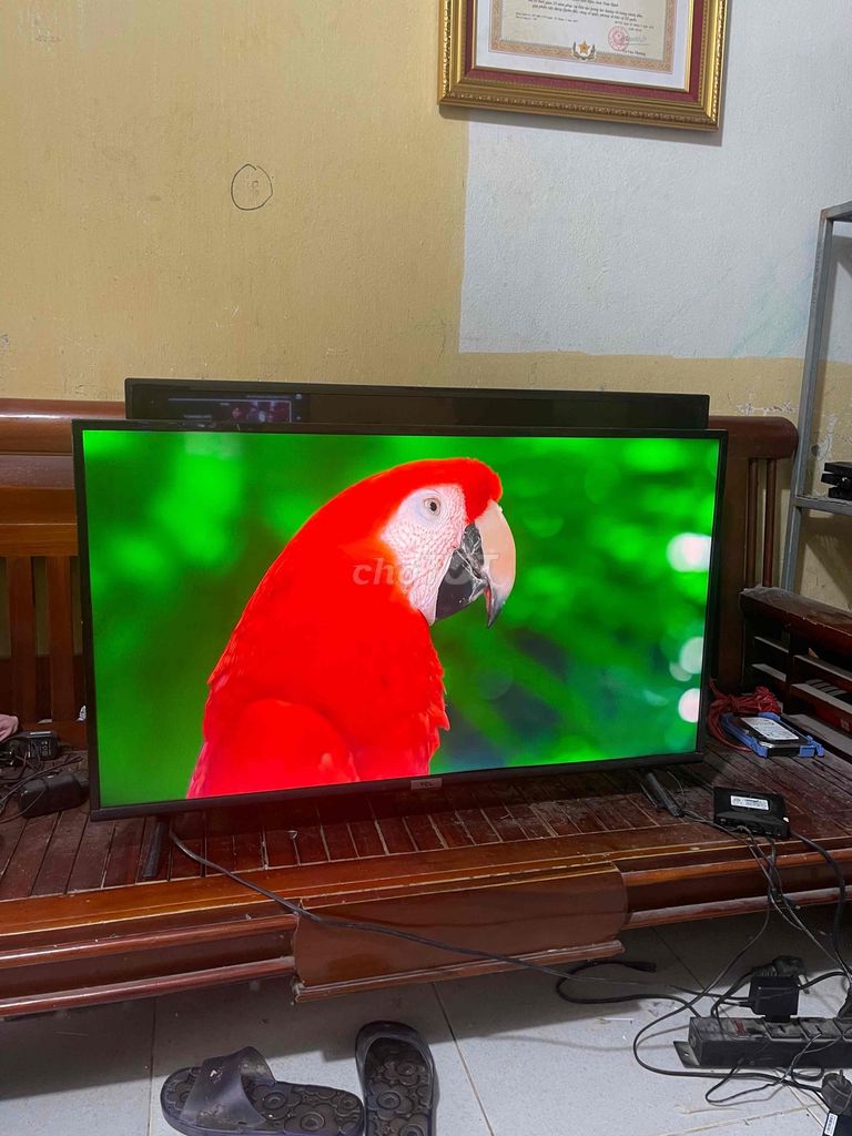 tivj tcl 40in xem mangj co khiển giọng nois