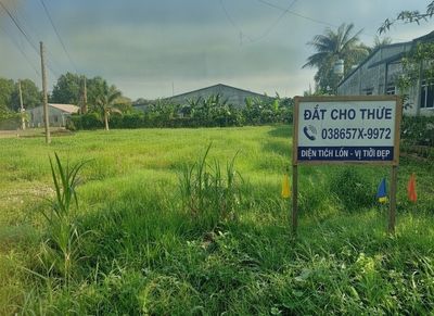 CHO THUÊ ĐẤT LÀM KHO, BÃI, KINH DOANH