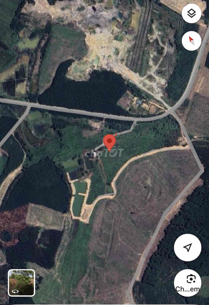 BÁN ĐẤT 50.000m2  CÂY LÂU NĂM VIU ĐÀ LẠT - TRUNG TÂM KCN PHONG ĐIỀN