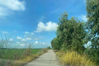 Bán đất full thổ cư, đường betong, p3 kiến tường loang an. Mua bán đất tại Thị xã Kiến Tường Long An được đăng bởi thanh tiến 