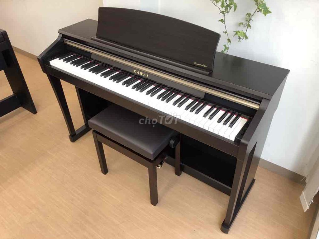 piano điện kawai CA13R n