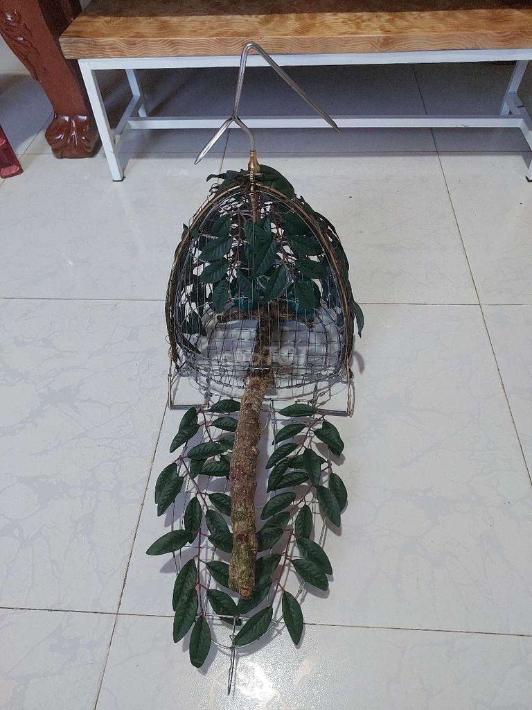 Lồng bẫy chim Thép điện lực Mới. Mua bán Phụ kiện, Thức ăn, Dịch vụ tại Thành phố Đà Lạt Lâm Đồng được đăng bởi tram Luc hình 1