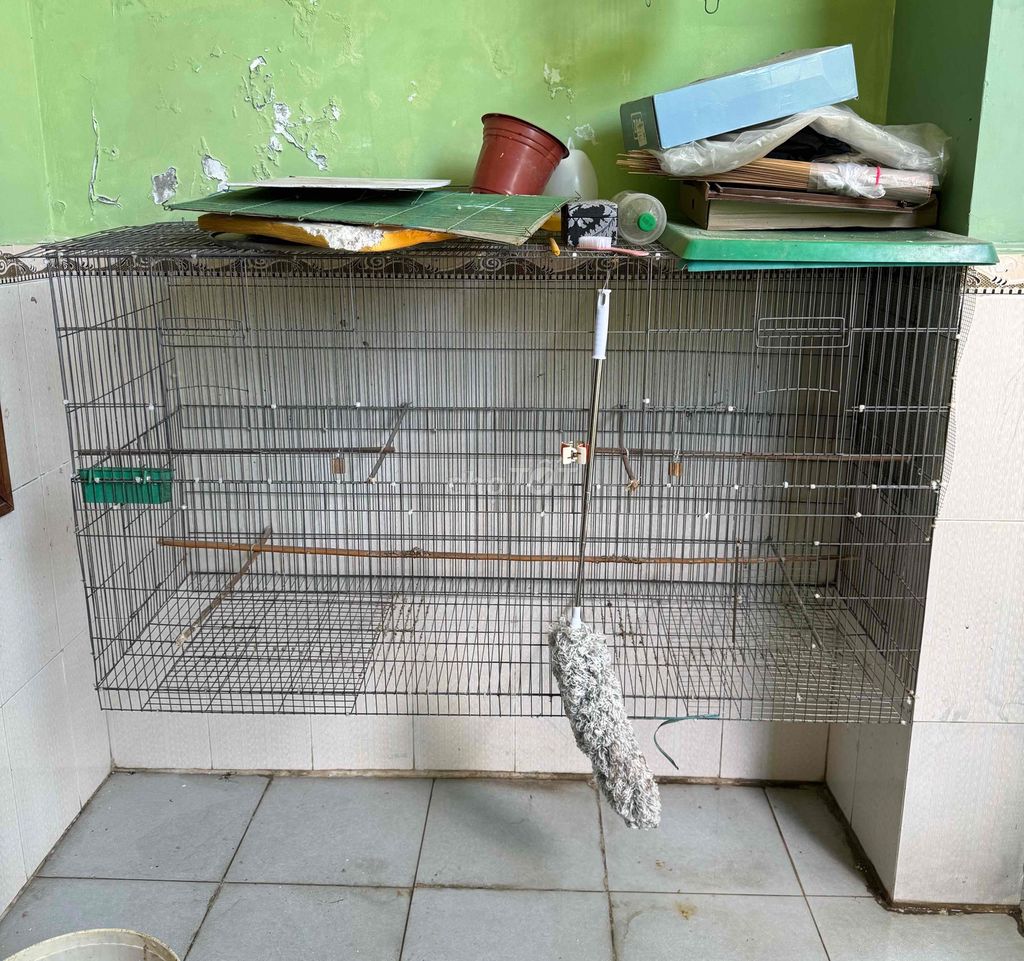 2 cái avi. Mua bán Phụ kiện, Thức ăn, Dịch vụ tại Quận Sơn Trà Đà Nẵng được đăng bởi vũ hình 1