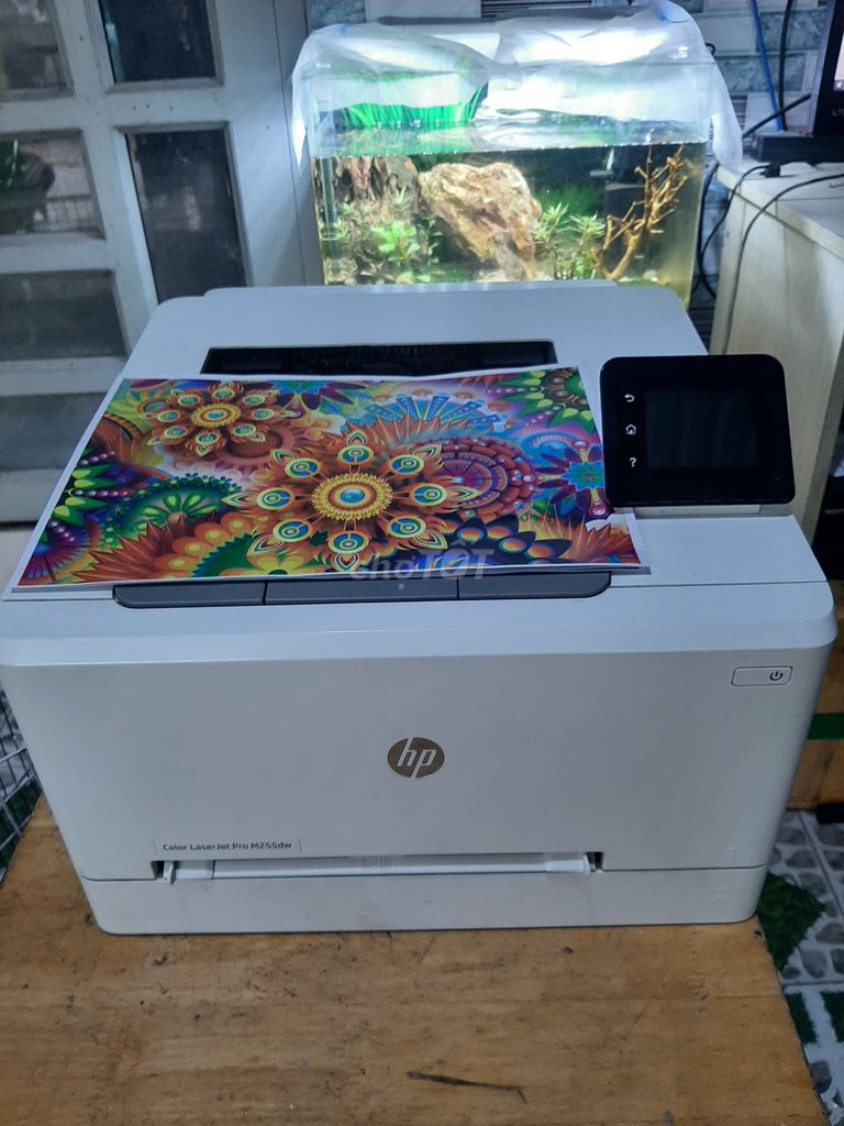 Máy in HP M255dw 2 mặt kết nối wifi. Mua bán Đồ dùng văn phòng tại Huyện Hóc Môn Tp Hồ Chí Minh được đăng bởi TÙNG Print hình 1