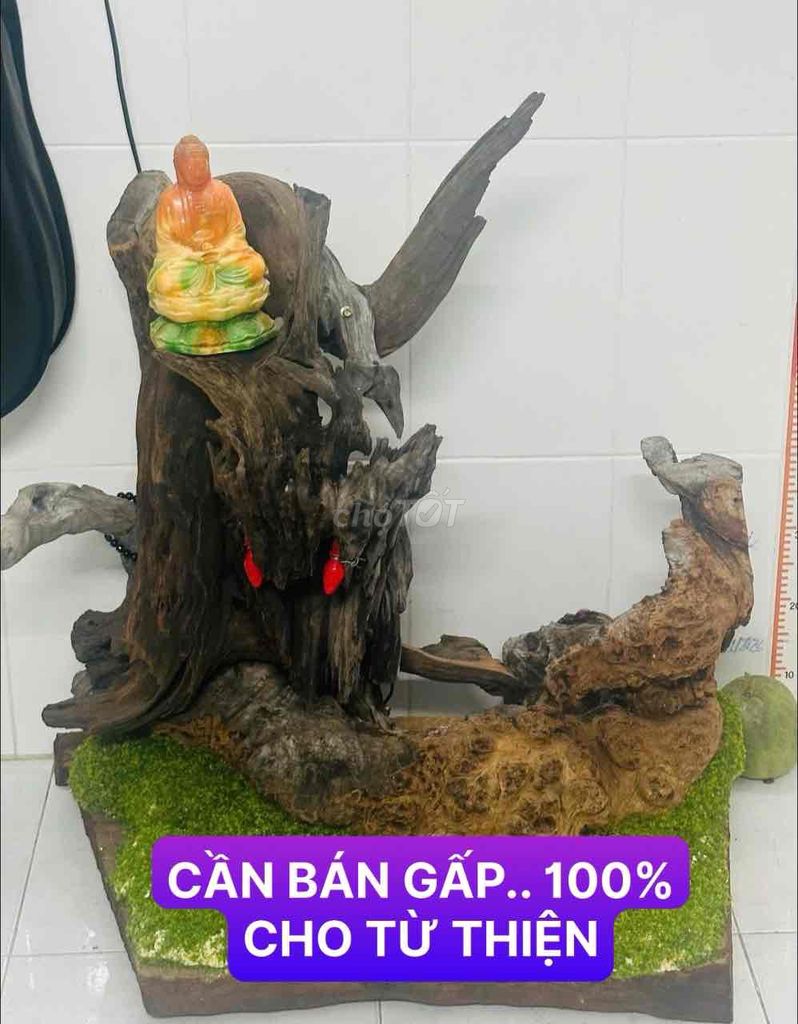 Tượng phong thủy Rồng Gỗ lũa. Mua bán Đồ sưu tầm, đồ cổ tại Quận Tân Bình Tp Hồ Chí Minh được đăng bởi Nhật Thu hình 1