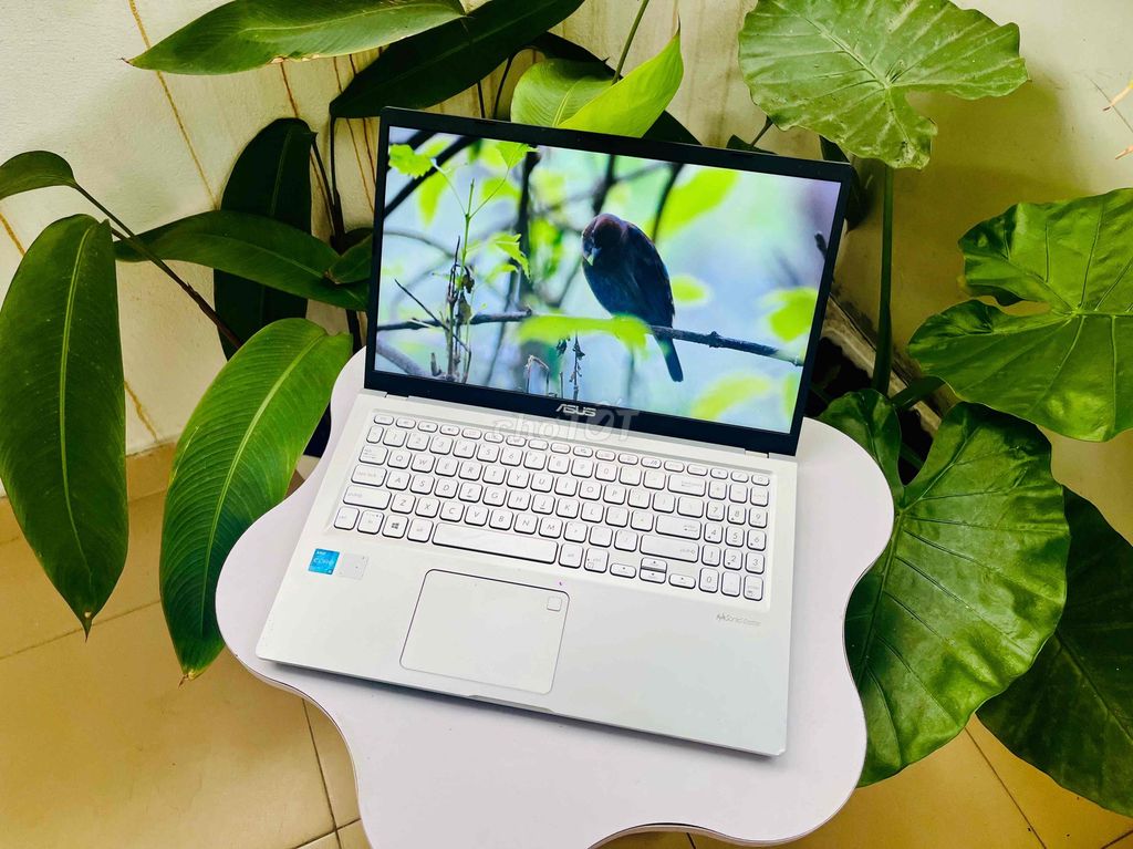 Asus Vivobook X515 i5-1135G7 15.6 inch 8GB/512GB. Mua bán Laptop tại Quận Lê Chân Hải Phòng được đăng bởi Nguyễn Hải Duy hình 1