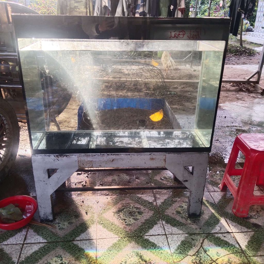 Cần bán 2 giàn hồ cá cảnh kính 8li. Mua bán Phụ kiện, Thức ăn, Dịch vụ tại Quận Cái Răng Cần Thơ được đăng bởi Trần Huỳnh Phong hình 1
