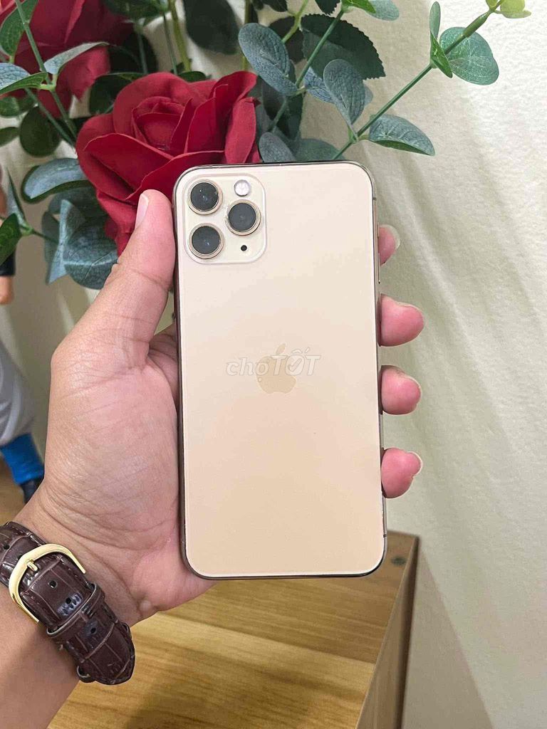 Apple iPhone 11 Pro 64GB Vàng Đã sử dụng. Mua bán Điện thoại tại Thành phố Cà Mau Cà Mau được đăng bởi Thái Hoàng Vũ hình 1