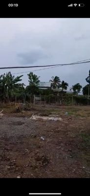 Bán đất chính chủ. Mua bán đất tại Huyện Hàm Thuận Nam Bình Thuận được đăng bởi Mrs Ngọc