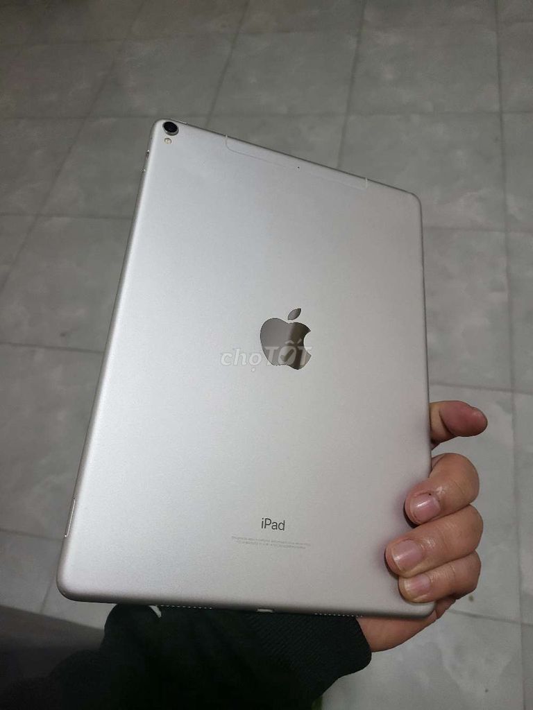 iPad Pro 10.5 inch 256GB Quốc tế 4G màn đẹp ko ám