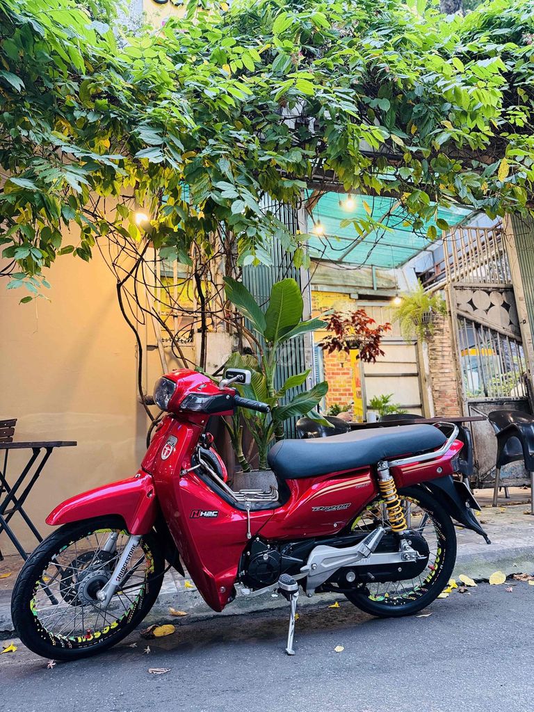 Bán Dream Bản Limited Full Đồ Thái Kiểng !. Mua bán Xe máy tại Quận 11 Tp Hồ Chí Minh được đăng bởi Fan Kia hình 8