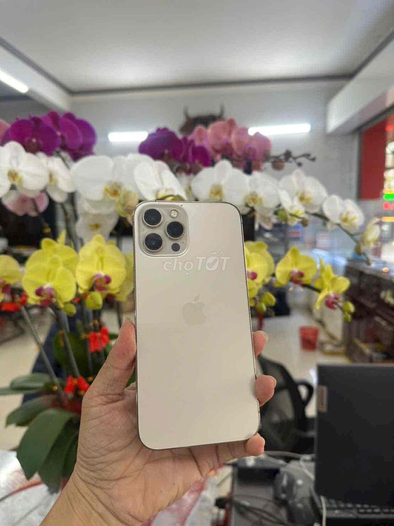 iphone 12prm 128G gold - quốc tế. Mua bán Điện thoại tại Thành phố Buôn Ma Thuột Đắk Lắk được đăng bởi cầm đồ nguyễn phương hình 1