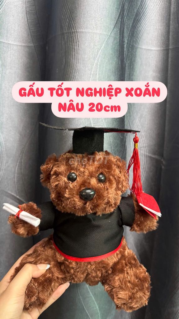 Gấu Bông Tốt Nghiệp, Gấu Bông Cử Nhân Làm Quà Tặng