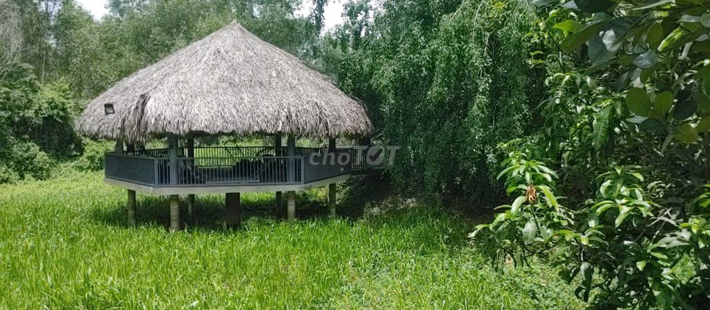 ПРОДАЕТСЯ 4-МЕТРОВЫЙ БЛОК-ХАУС В БУЙ ТХИ-ТАПЕ, ШТАТ ЮЖНАЯ ДАН НХОН, ШТАТ ХОШИМИН, 22 МИЛЛИАРДА ДОЛЛАРОВ