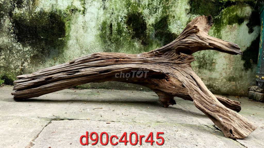 Lũa hồ cá. Mua bán Phụ kiện, Thức ăn, Dịch vụ tại Quận Liên Chiểu Đà Nẵng được đăng bởi Nghệ thuật lũa hình 1