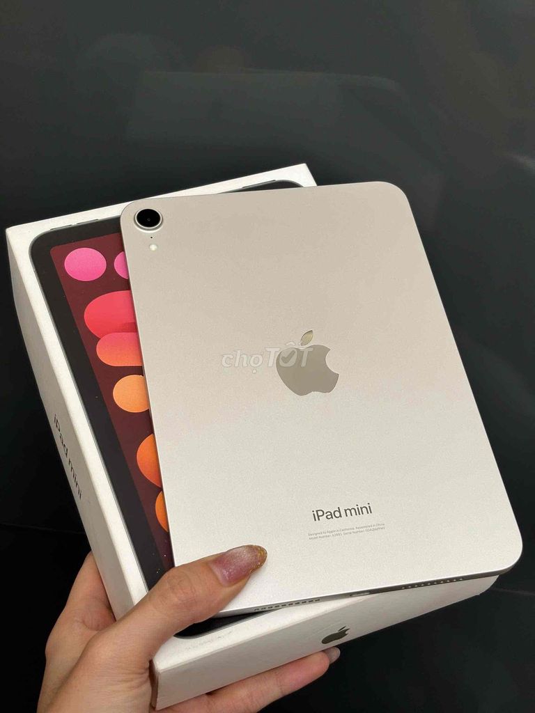 Mini 7 Wifi 128GB A17 Pro Fullbox Pin 94 Bh 11/26. Mua bán Máy tính bảng tại Quận Ninh Kiều Cần Thơ được đăng bởi Quý Mobile Cần thơ hình 1
