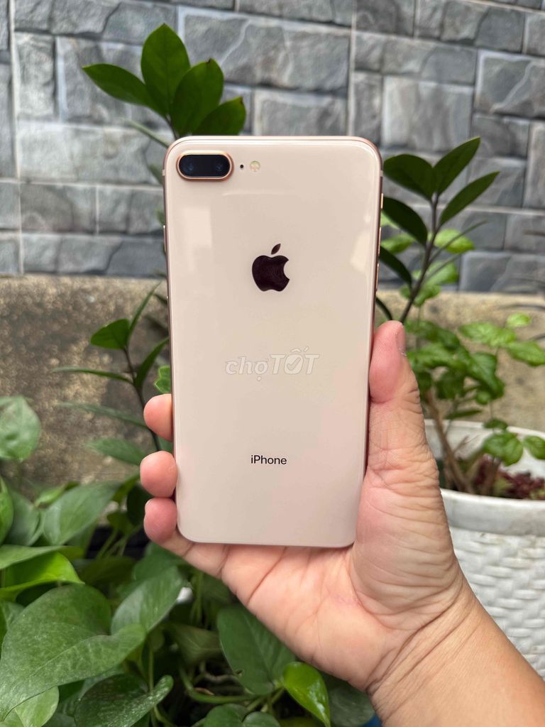 Apple iPhone 8 Plus 256GB Vàng hồng. Mua bán Điện thoại tại Huyện Hóc Môn Tp Hồ Chí Minh được đăng bởi Sonle hình 1
