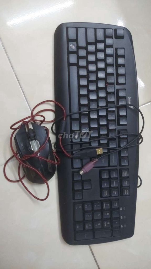 Chuột Genius Đen Đã sử dụng. Mua bán Phụ kiện (Màn hình, Chuột...) tại Quận 11 Tp Hồ Chí Minh được đăng bởi Hào Cơ hình 1