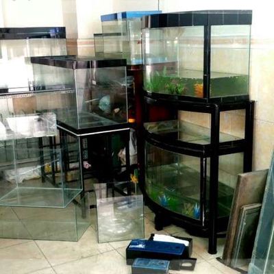 Bán Hồ cá. Mua bán Phụ kiện, Thức ăn, Dịch vụ tại Quận Tân Bình Tp Hồ Chí Minh được đăng bởi Linh