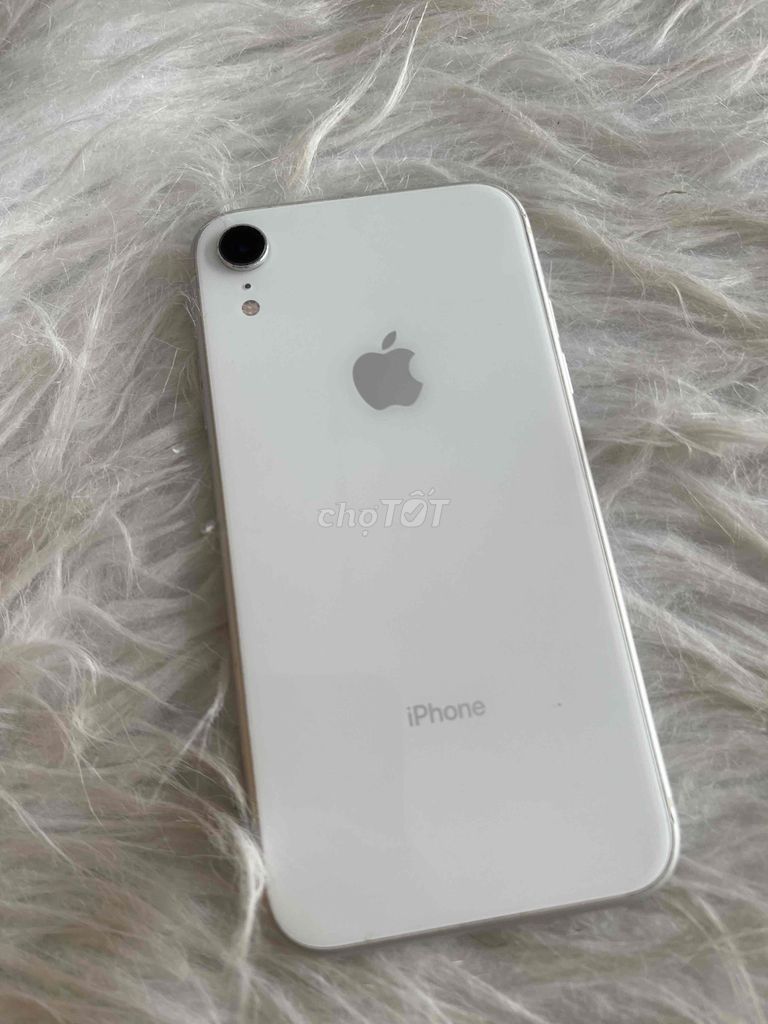 iPhone XR 64GB zin full. Mua bán Điện thoại tại Quận Ninh Kiều Cần Thơ được đăng bởi CẦM ĐỒ LT hình 1
