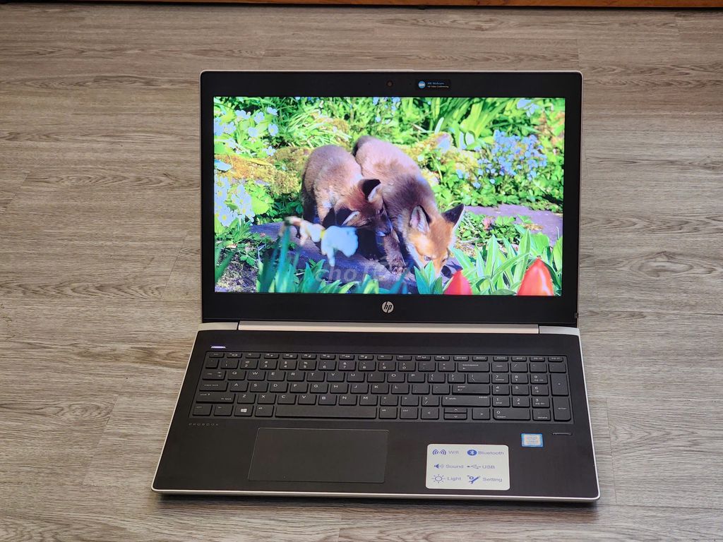 Bán Gấp HP Probook 450G6 i5 8th 8/256GB - Đẹp 99%