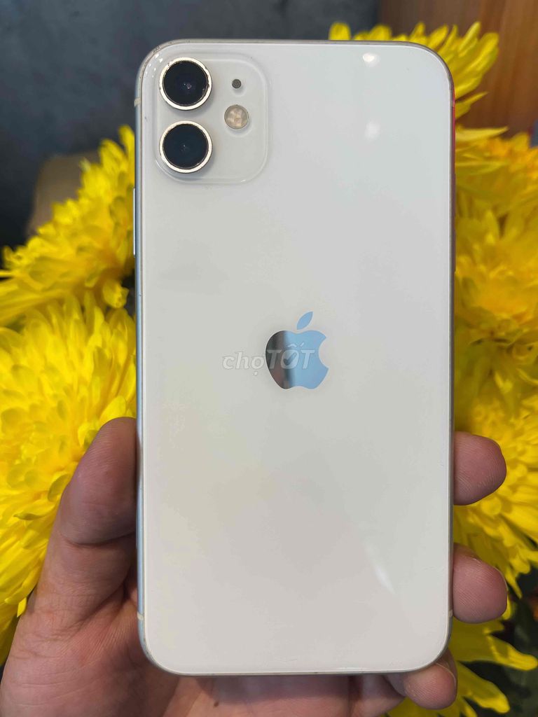 Thanh lý nhanh iphone 11 64G quốc tế mỹ LLA mới 98