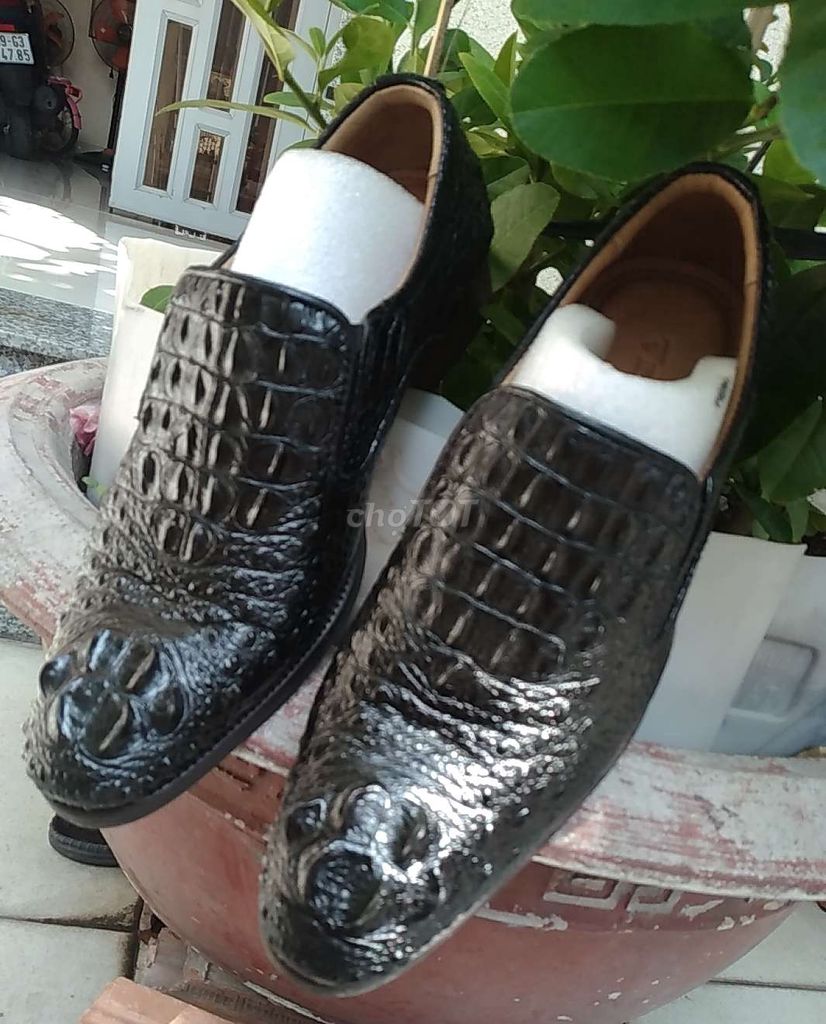 Giày tây da cá sấu thật 100% size 38
