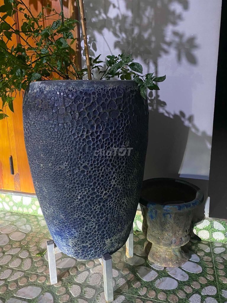 Chậu cây Gốm Xanh đậm trang trí. Mua bán Cây cảnh, đồ trang trí tại Thị xã Ninh Hòa Khánh Hòa được đăng bởi hòa hình 1