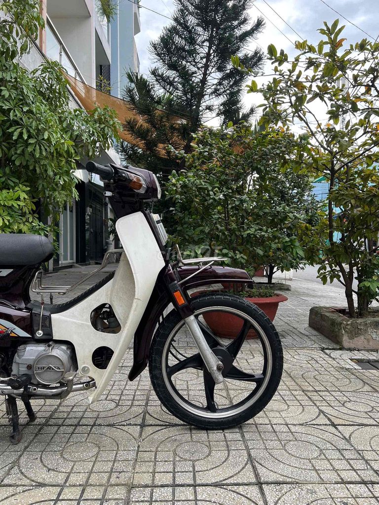 bán Dream thái nhập đời 1994,bstp,bao tranh chấp. Mua bán Xe máy tại Quận Tân Bình Tp Hồ Chí Minh được đăng bởi Thân thi hương  hình 3