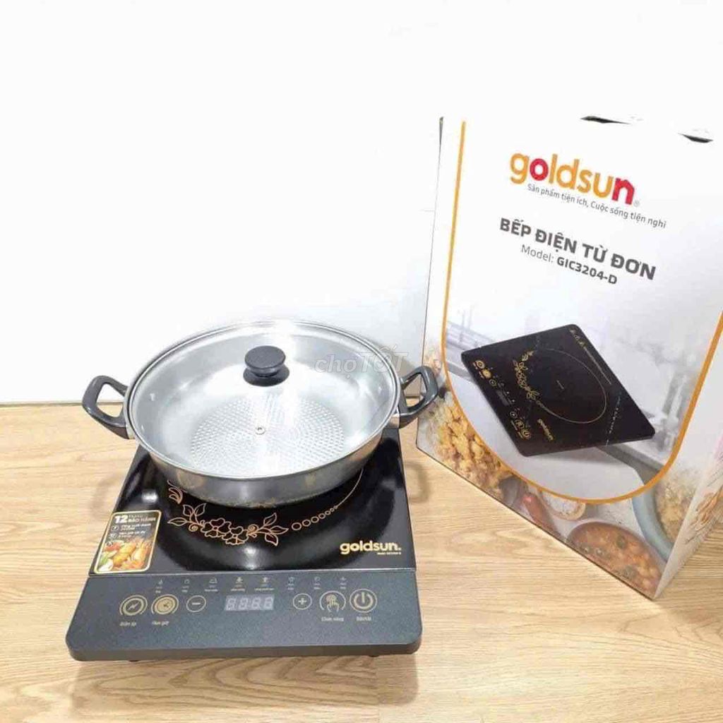 🔥🔥 BẾP TỪ GOLDSUN 3204D