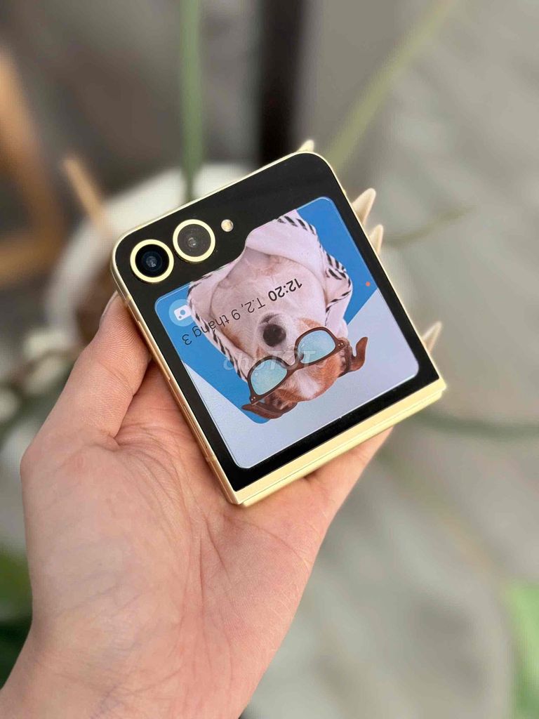 Samsung Galaxy Z Flip6 ĐẸP - GÓP 0đ. Mua bán Điện thoại tại Quận Ninh Kiều Cần Thơ được đăng bởi Minh Mobile hình 1