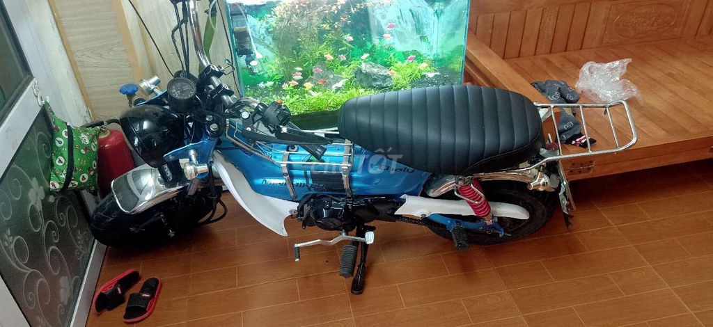 Honda Chaly Xanh dương. Mua bán Xe máy tại Thành phố Nam Định Nam Định được đăng bởi Thấy Đỏ Tưởng Chín hình 3