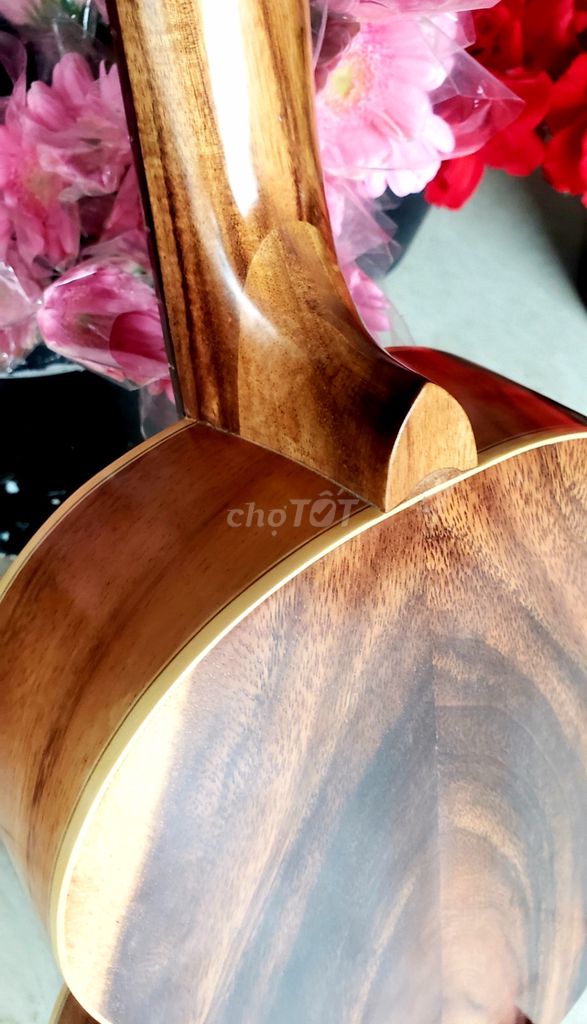 Đàn Guitar size 3/4 Classic đẹp lắm ❤