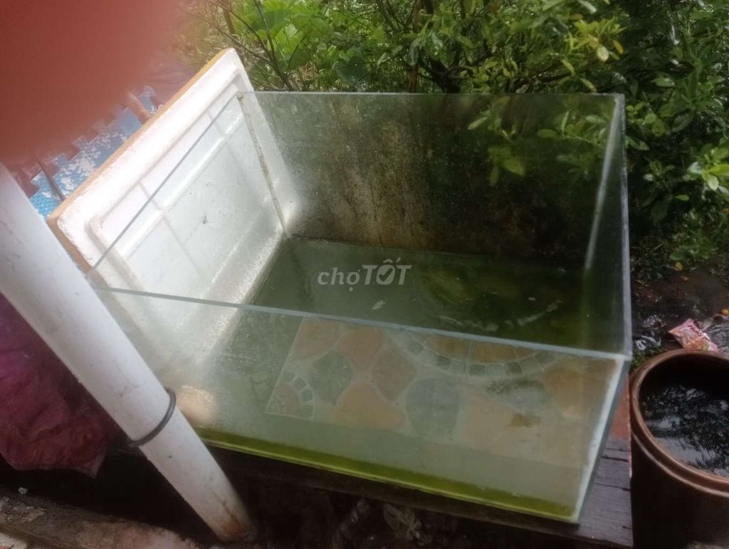 Bể kính chưa hải sản tươi sống. Mua bán Đồ chuyên dụng, Giống nuôi trồng tại Huyện Mỹ Xuyên Sóc Trăng được đăng bởi thanh hình 1