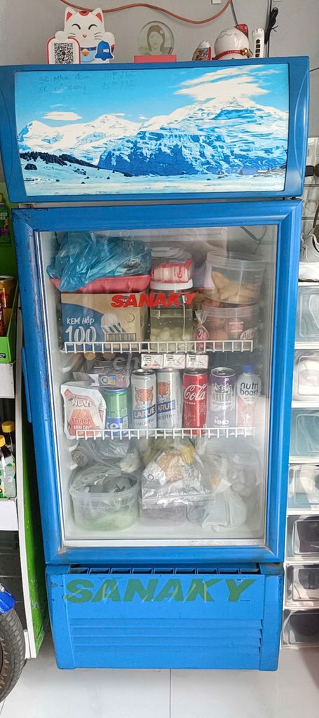 Tủ đông Sanaky Xanh. Mua bán Tủ lạnh tại Quận Bình Thuỷ Cần Thơ được đăng bởi Tung Minh hình 1