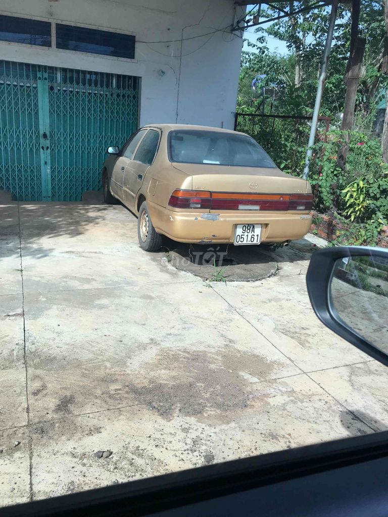 Ảnh số 4