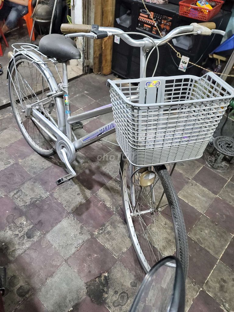 xe đạp martin 107