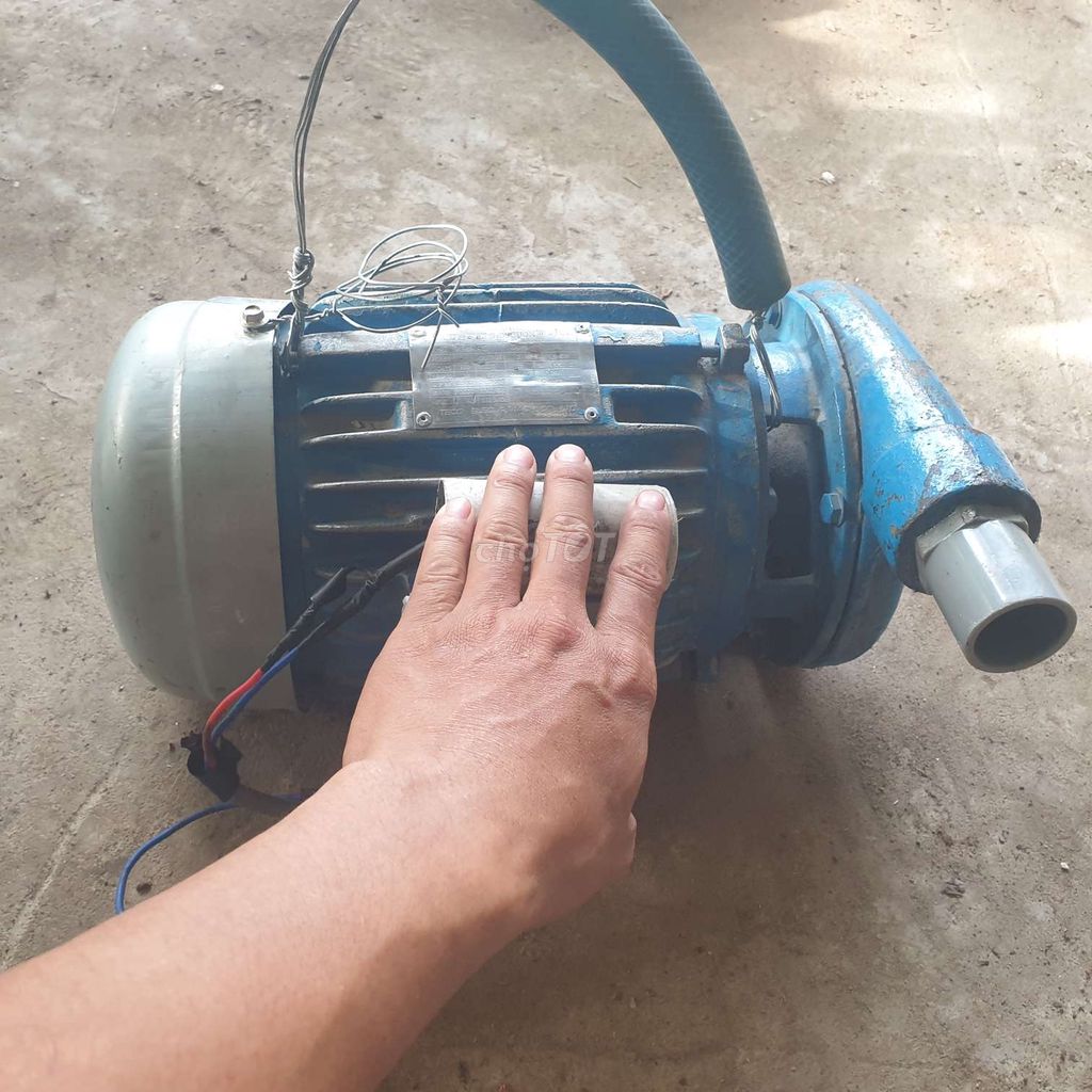 Motor đài loan 2hp