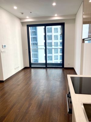 Căn hộ 1N+ khu cao cấp Masteri West Heights